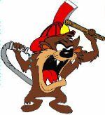 taz1.jpg